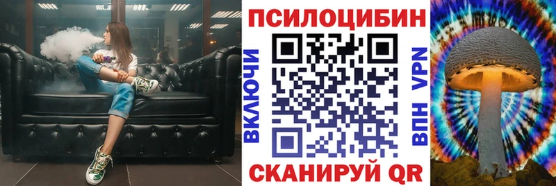 Купить закладки  Ачхой-Мартан  Псилоцибиновые грибы GOLDEN TEACHER 